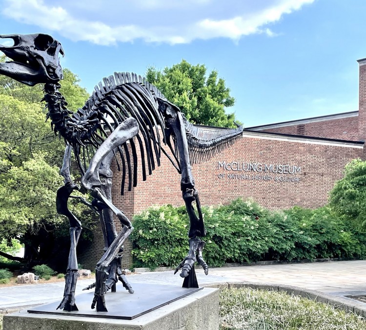 McClung Museum of Natural History & Culture (Knoxville,&nbspTN)